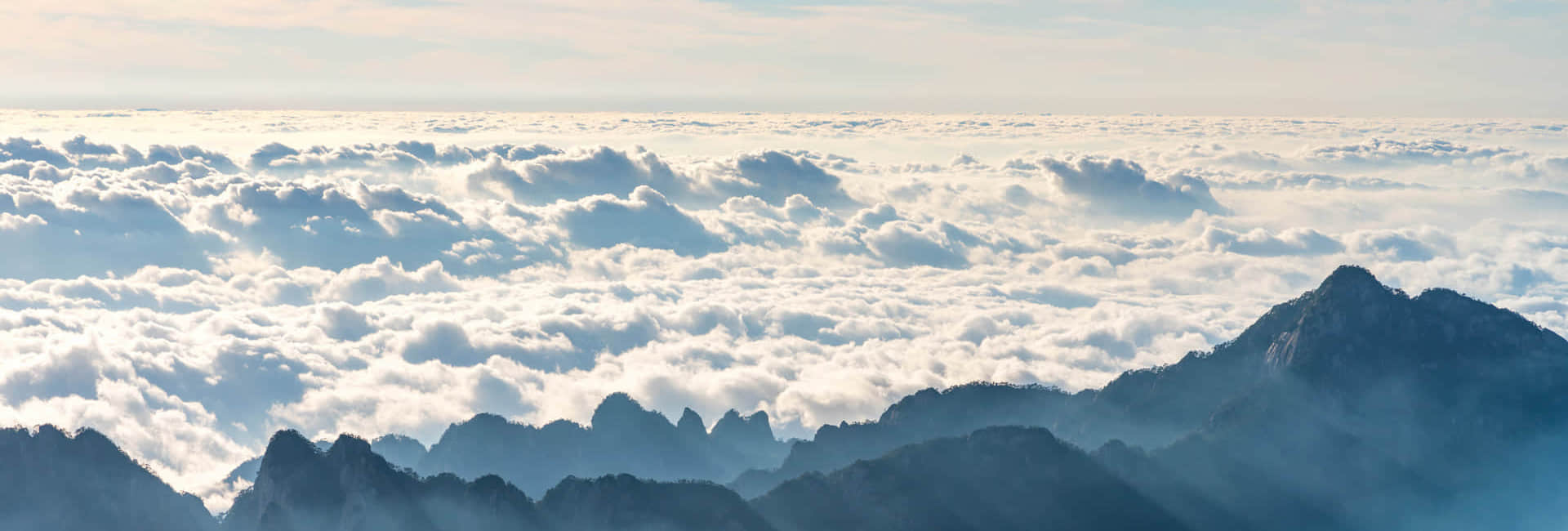 开云（中国）简介